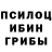 Псилоцибиновые грибы Magic Shrooms UnkaD